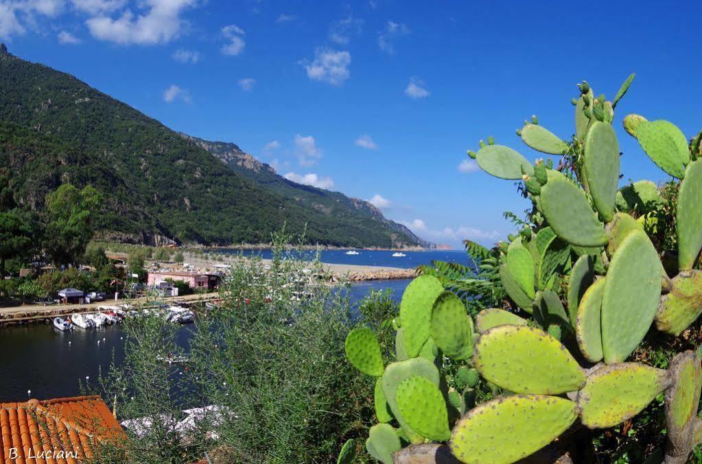 Le Mediterranee Porto  Dış mekan fotoğraf